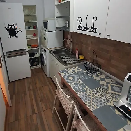 Cismigiu Apartament