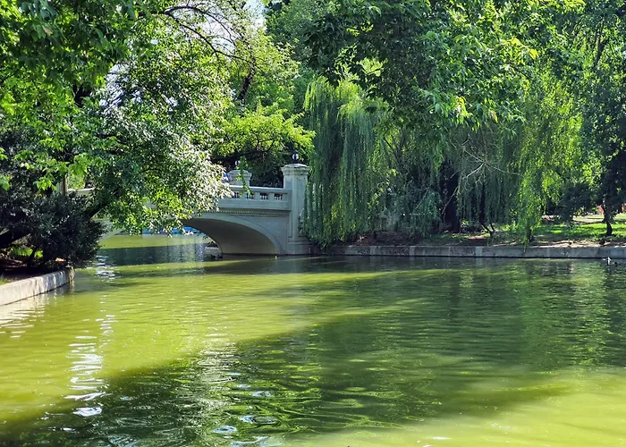 Apartamento Cismigiu *