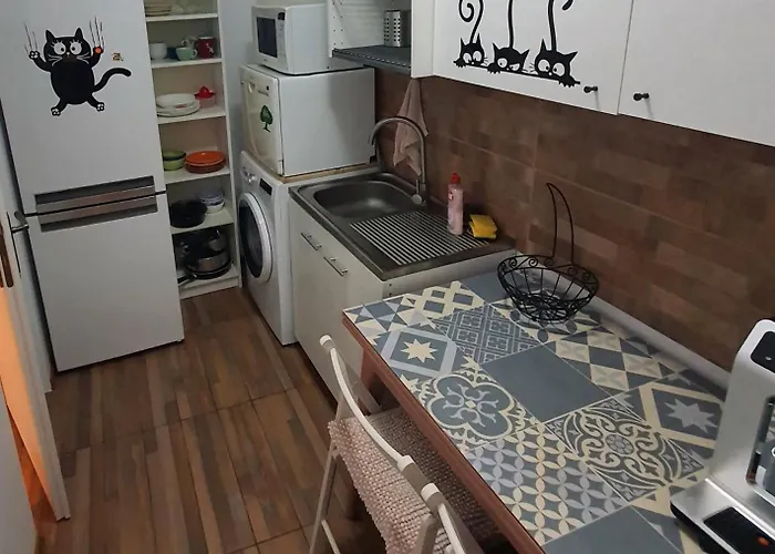 Cismigiu Διαμέρισμα
